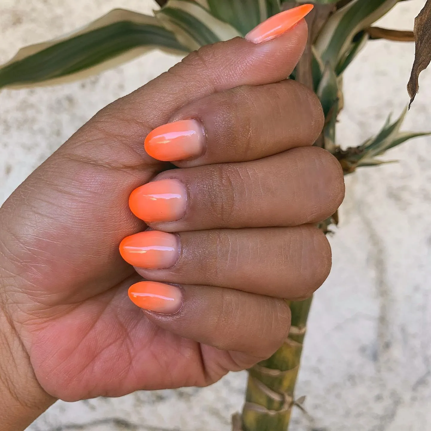 Two-Tone Ombre Almond Nails