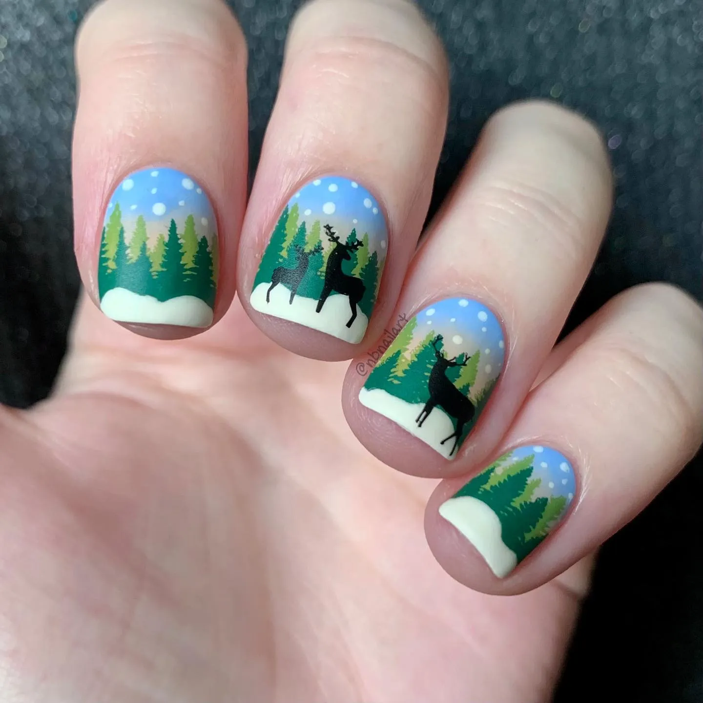 Winter Wonderland Nails