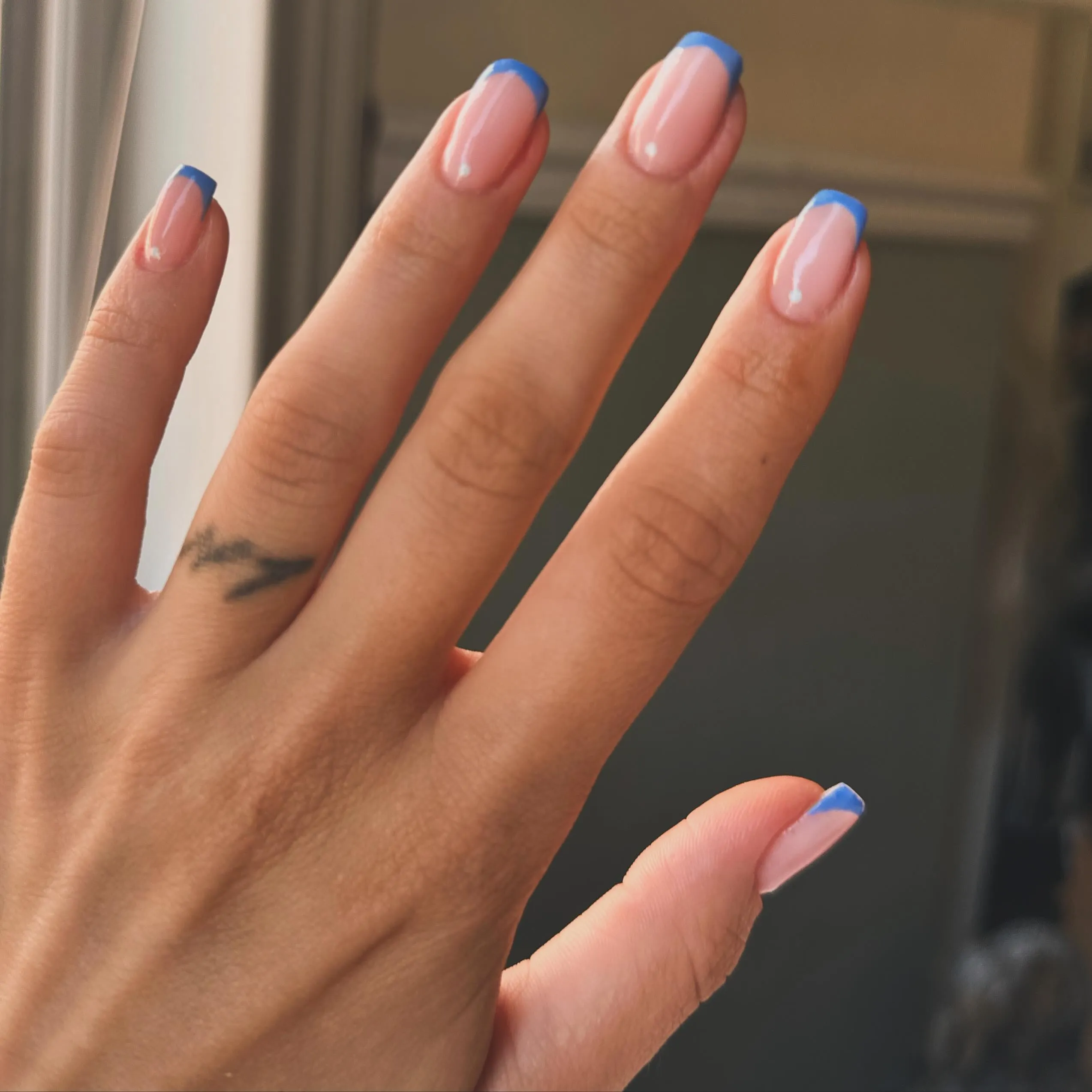 Blue French Tip Nails