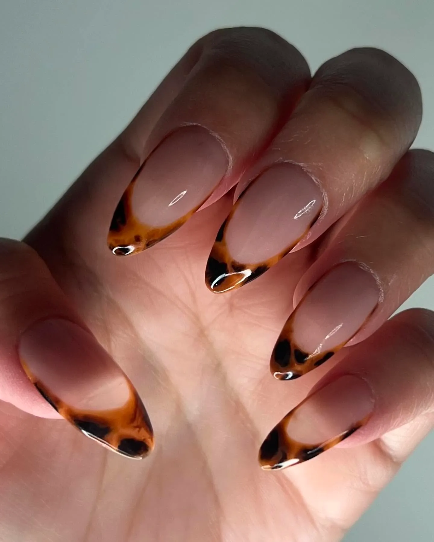 Black And Brown French Tip Nails