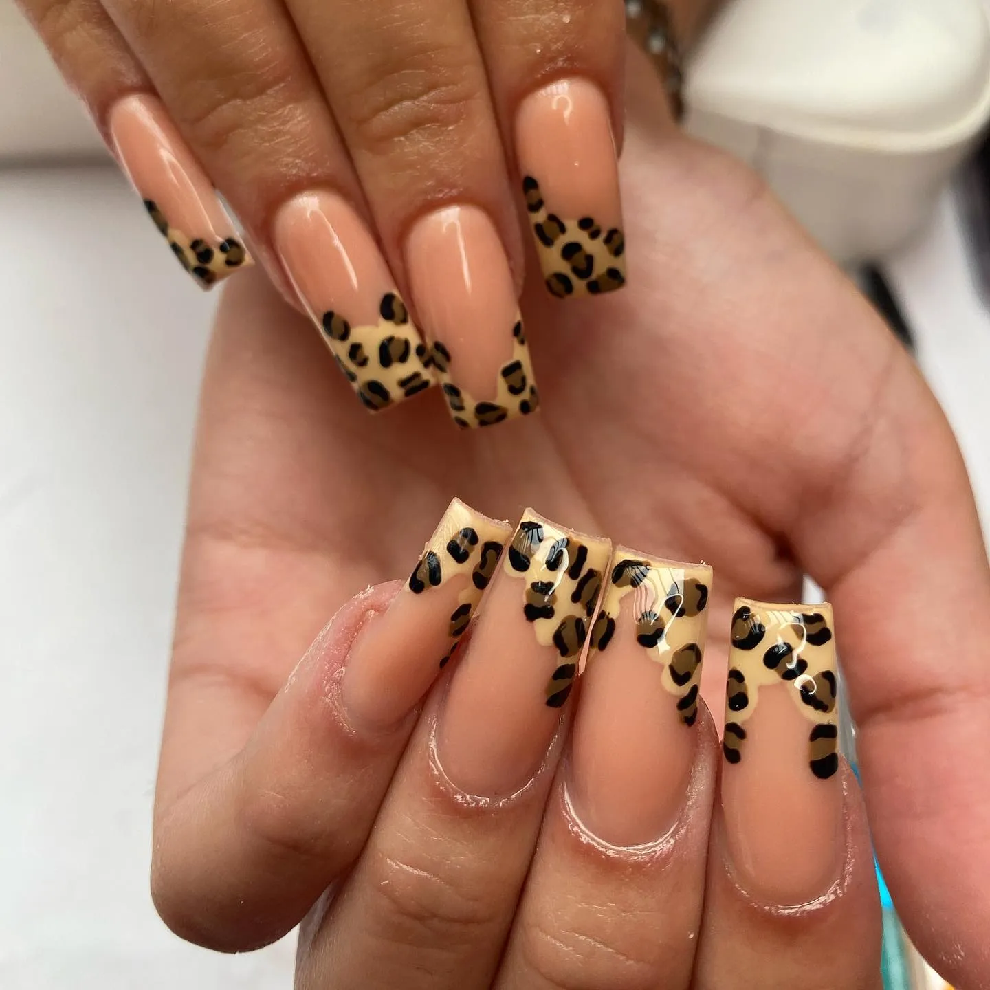 Leopard Print Short Square Nails