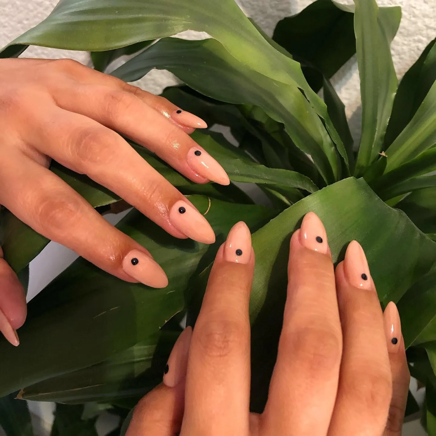 Black Nails with Subtle Dots