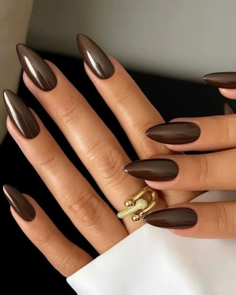 Chocolate Brown Glossy Nail Polish
