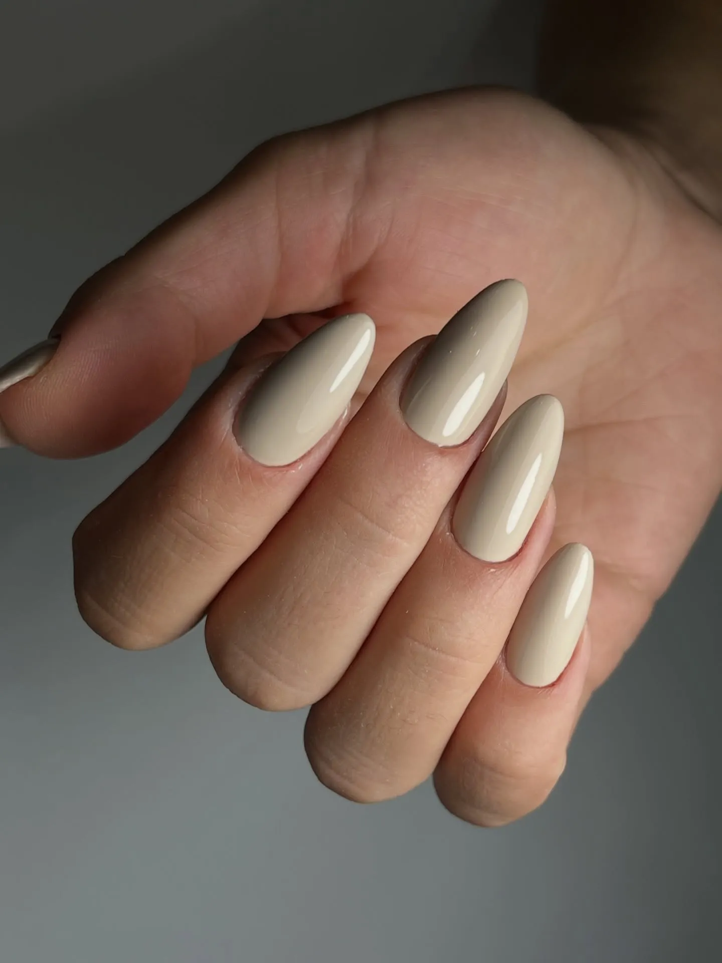 Nude Almond Nails with Cat Eye Chrome