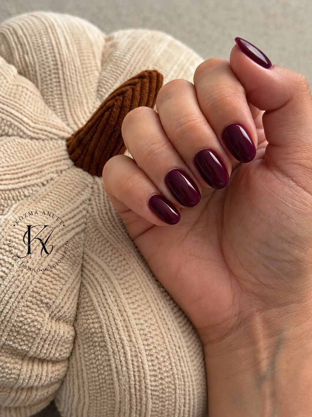 Plum Burgundy Short nail design idea