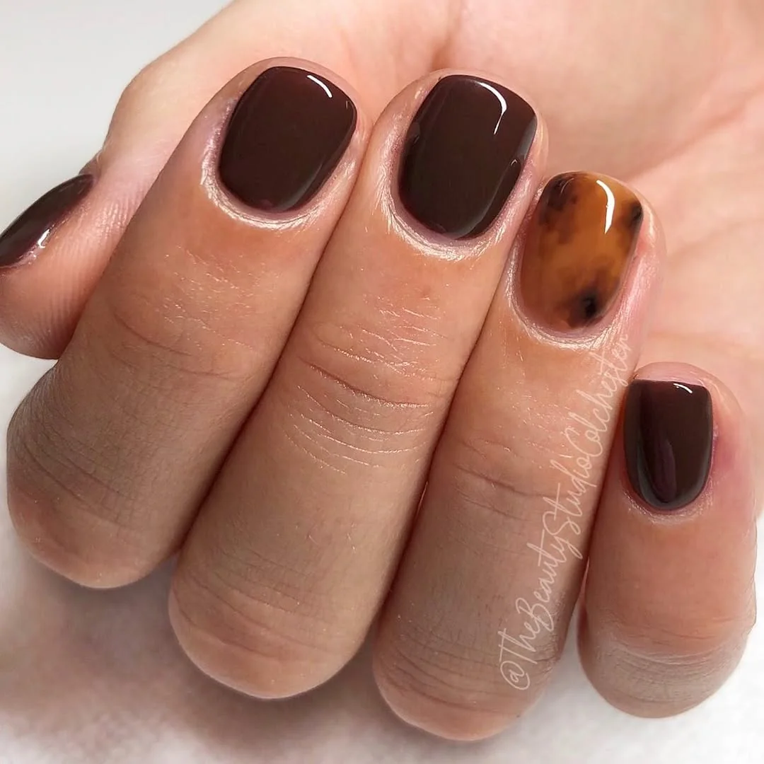 Short dark brown nails with a single tortoiseshell accent nail